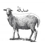 Sadaqa Sheep