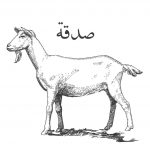 Sadaqa Goat