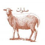 Salawat Sheep