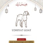 Udhiyyat Goat (Eid-ul-Ad'haa)