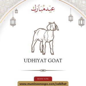 Udhiyyat Goat (Eid-ul-Ad'haa)